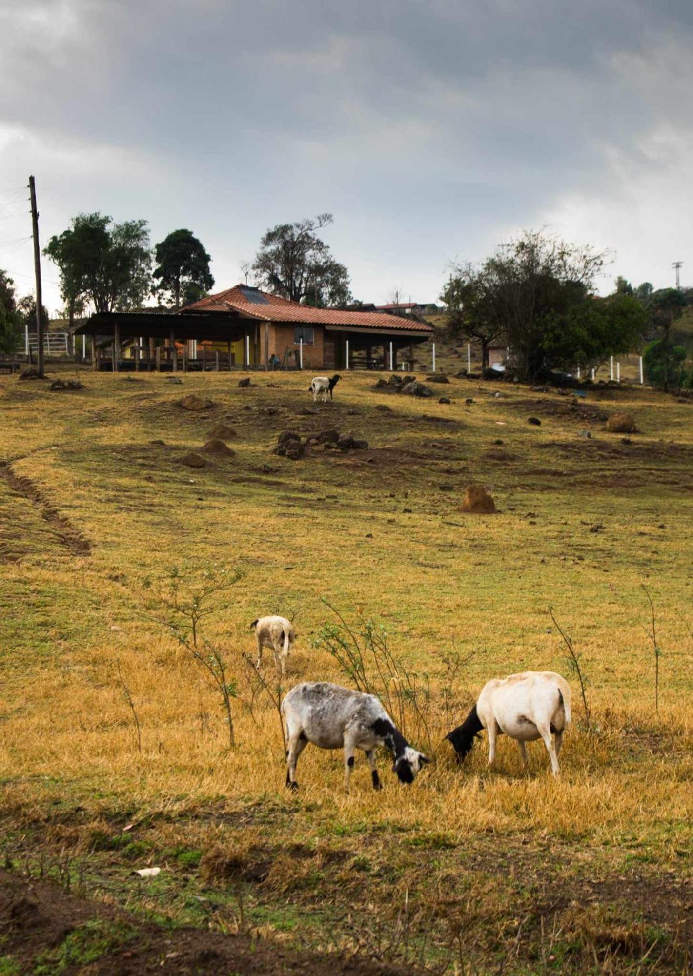 Sitio No Interior De Sp Para Curtir A Natureza Águas da Prata Extérieur photo
